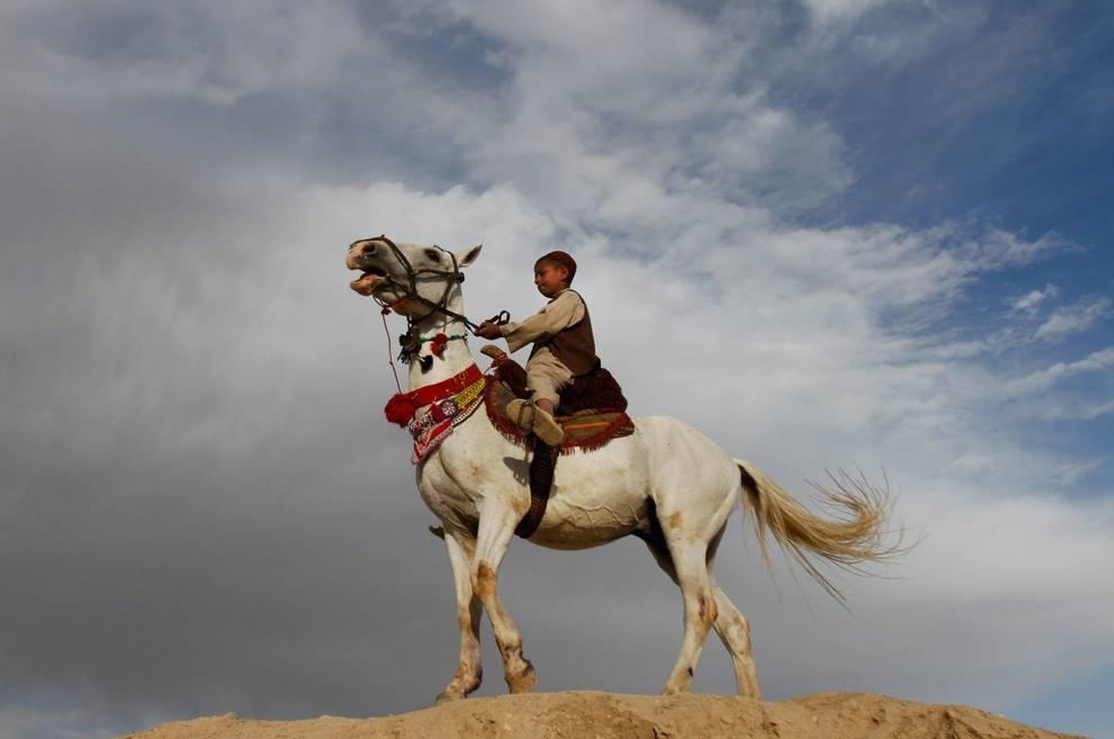 Сиен сиен казахская песня слушать. Казахи на конях. Казахские джигиты на конях. Казах на коне. Всадник на коне.